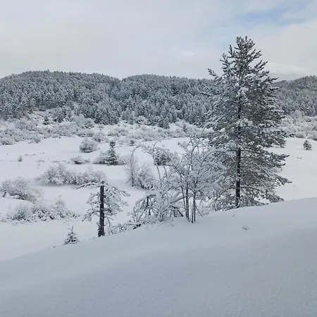 Dimora Colli Bassi Apartament *